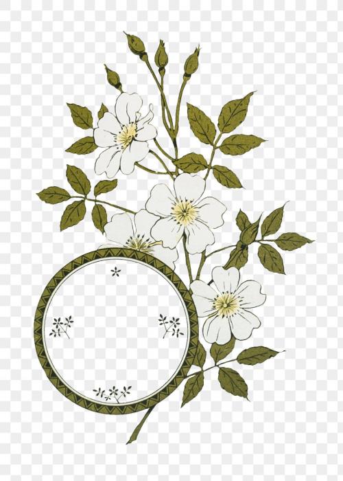 Festive floral frame transparent png - 1232587