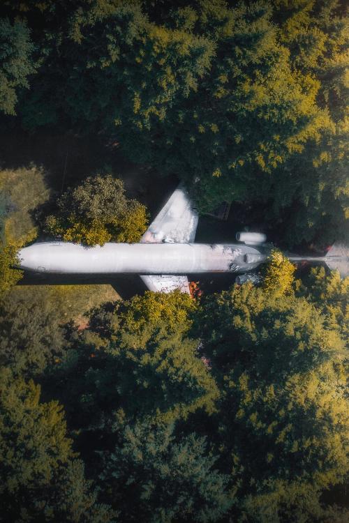 A plane in the woods in Hillsboro, Oregon, USA - 1234766