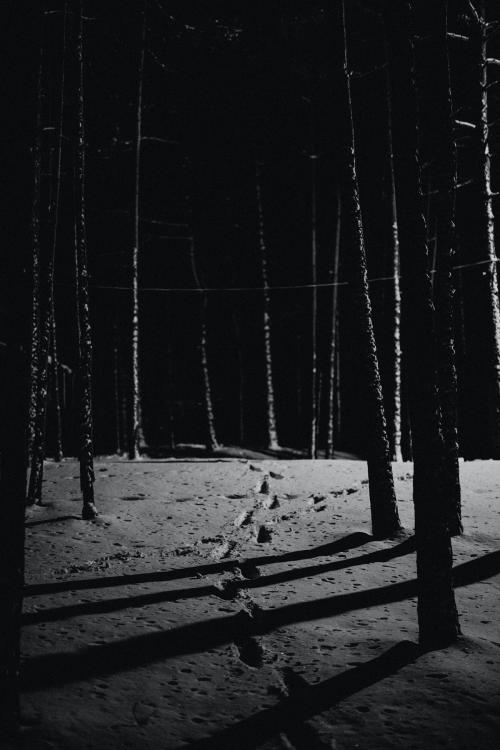 Footsteps in the snow of a dark forest - 598343