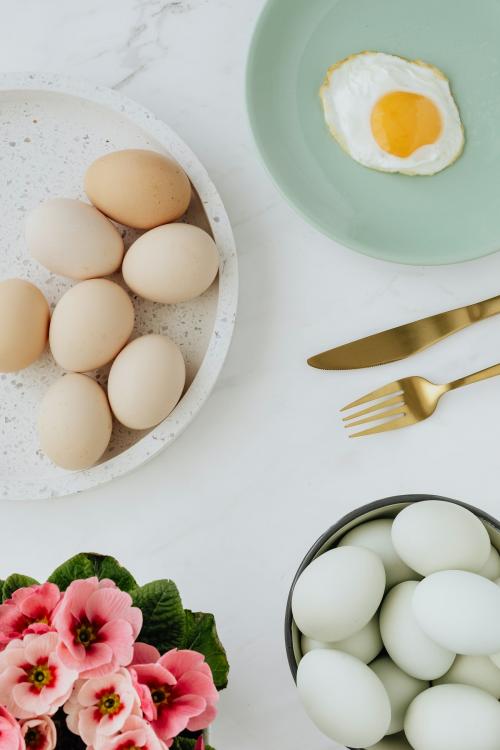 Aerial view of a fried egg on a green plate - 937375