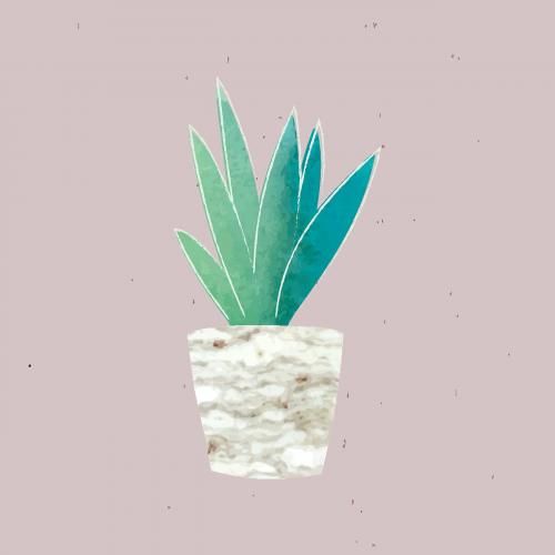 Snake plant in a pot vector - 1017031