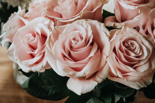 Beautiful pink roses in a vase on a table - 1221497