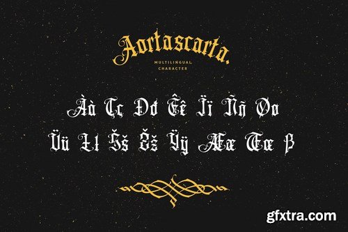 CM - Aortascarta 5113112