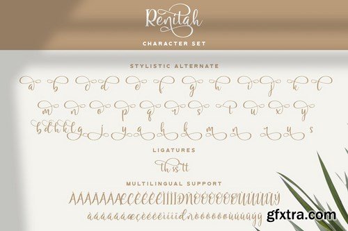 CM - Renitah - Lovely Script Font 5095440