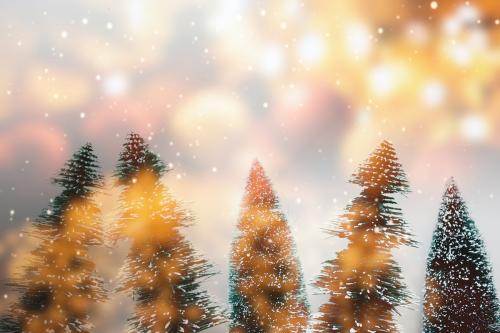 Christmas trees with design space background - 1229581