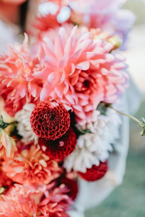 Woman holding a bouquet of colorful flowers - 1232009