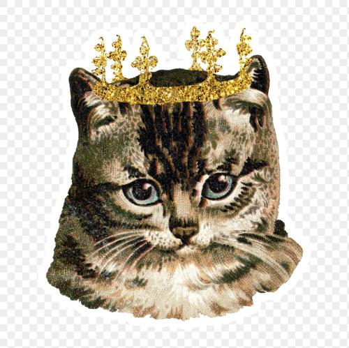 Cat with glittery crown sticker transparent png - 1234843