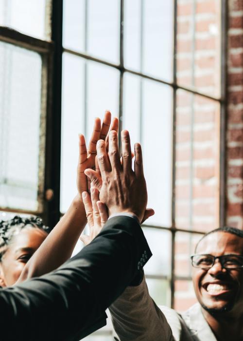 Diverse business people giving a high five in the middle - 1226841