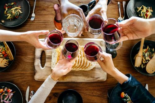 Friends making a toast at a dinner party - 1227026