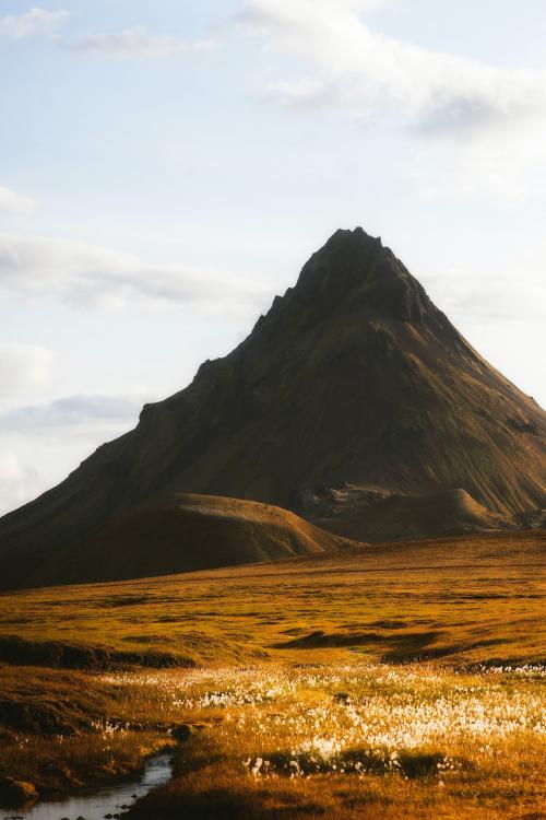 Golden field with a sharp mountain - 1227133