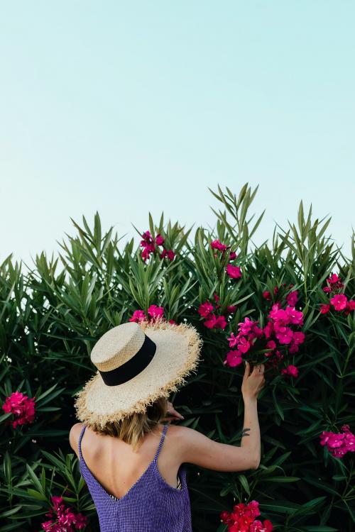 Girl with a straw hat near the shurb - 1228421