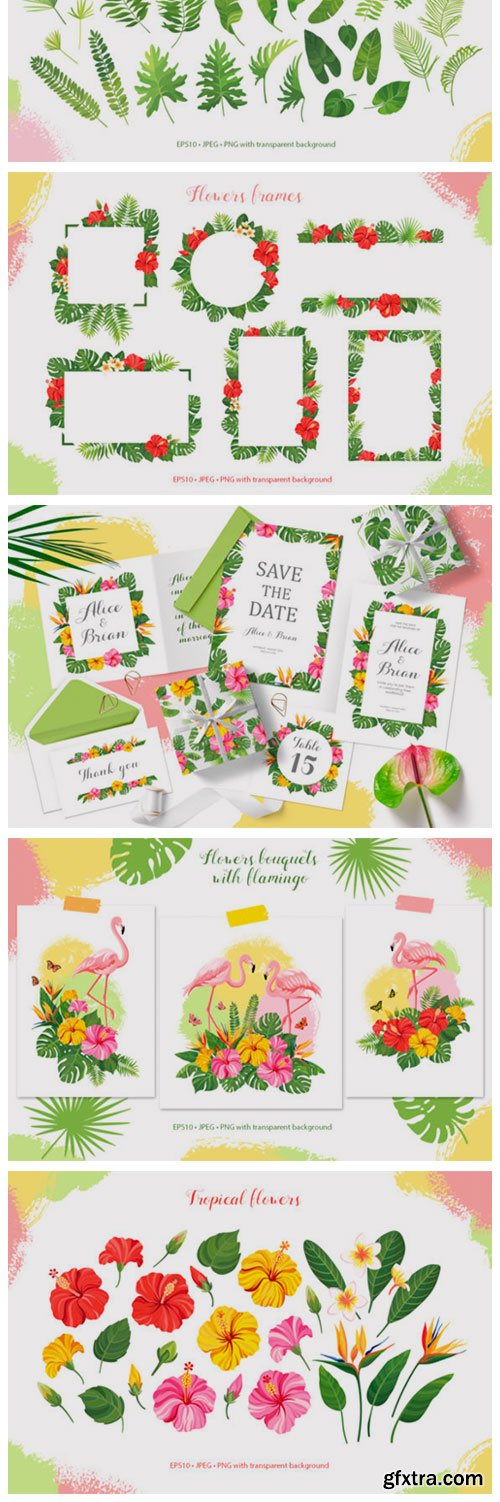 Tropical Vector Graphic Set 4462288