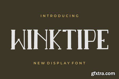 Winktipe GJ - Modern Display Font