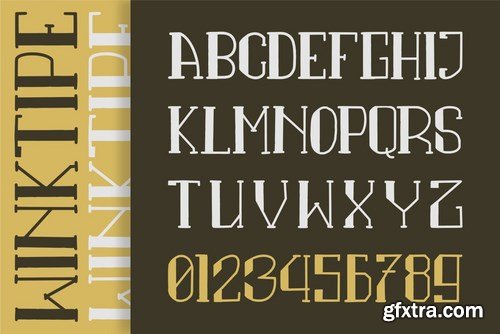 Winktipe GJ - Modern Display Font