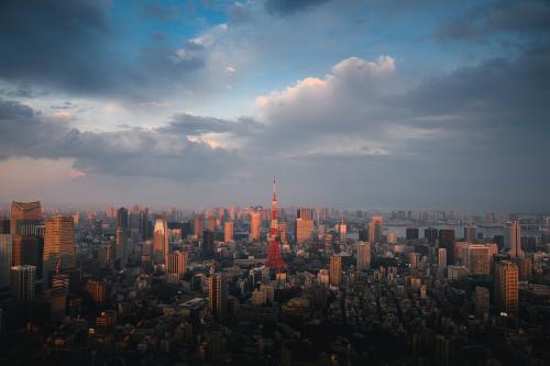 View of downtown Tokyo, Japan drone photograph - 843907