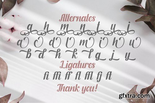 CM - Fendysa - Calligraphy Font 5130063