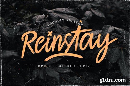 CM - Reinstay - Brush Script Font 5129930