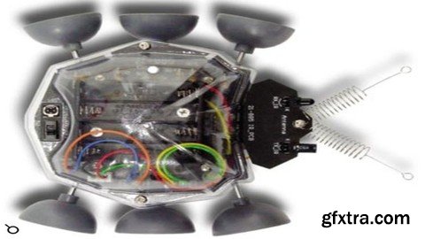 Learn How to Build a Ladybug Mobile Robot from Scratch DoIT