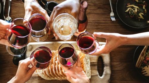 Friends making a toast at a dinner party - 1227008