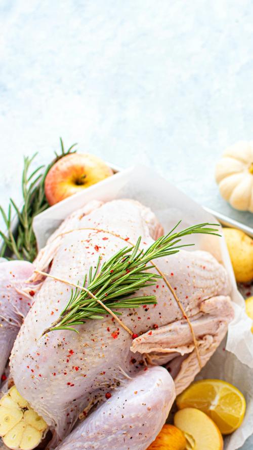 Raw turkey with fresh rosemary - 1228635