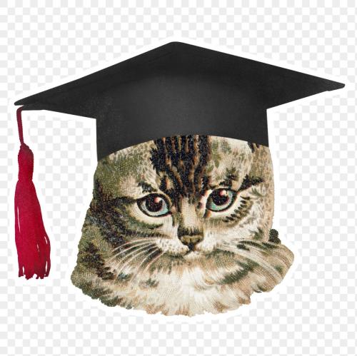 Cat in a graduation cap sticker transparent png - 1234884