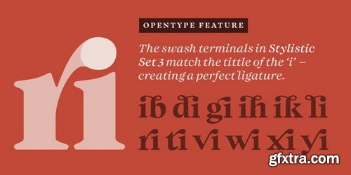 Audacious Font Family