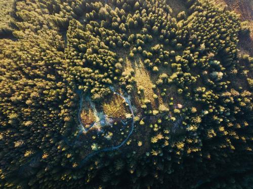 Drone view of Whinlatter Forest park at the Lake District in England - 935822