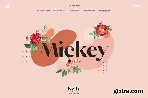 Kelly Regular - Gorgeous Sans Serif