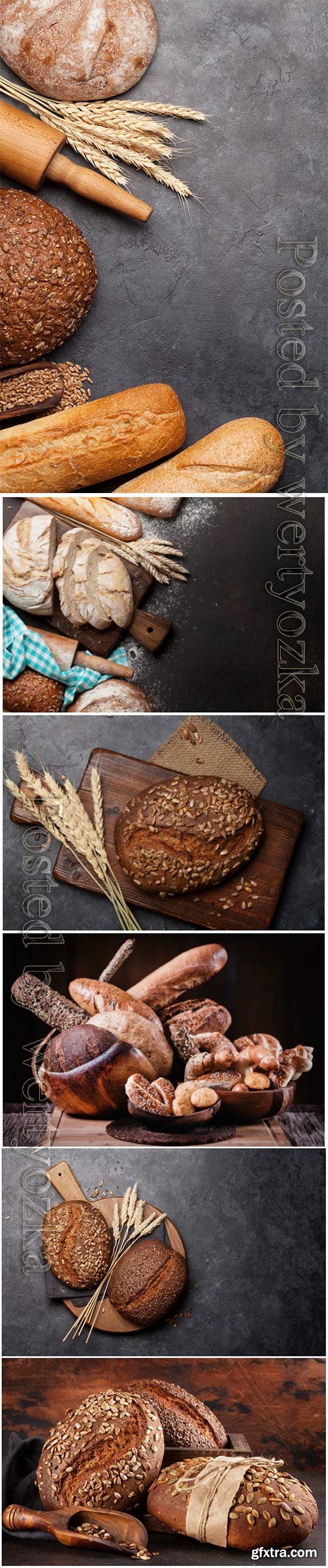 Various bread with wheat flour and cooking