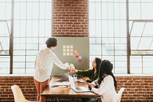 Happy businesswomen doing a handshake - 1226497