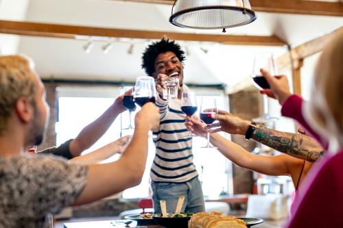 Friends celebrating with red wine at a house party - 1227046