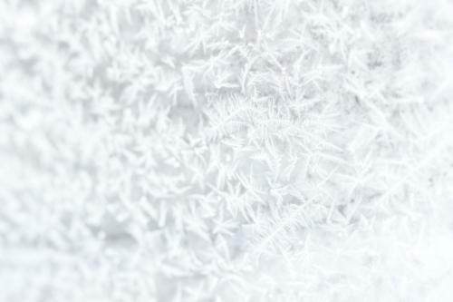 Frosty white tree branches background - 1229717