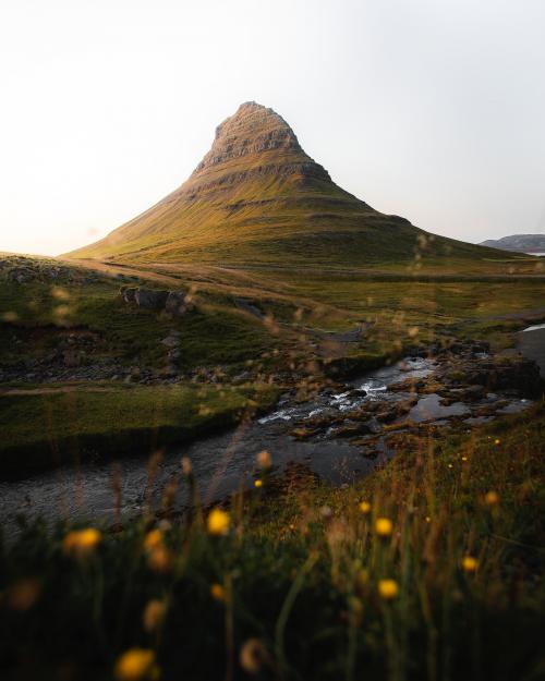 Green field by Church Mountain, Iceland - 1234805