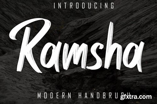 Ramsha Modern Handbrush