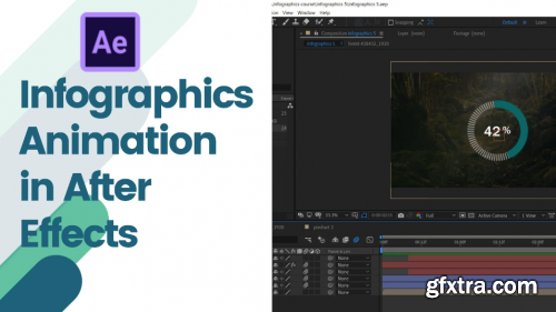  infographics animation in After Effects