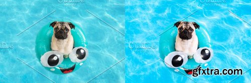 CreativeMarket - Lightroom Presets | Pool Party Theme 5039572