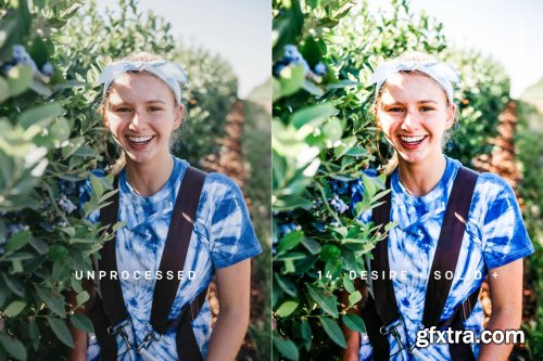 CreativeMarket - DESIRE XMP PRESETS 4192887