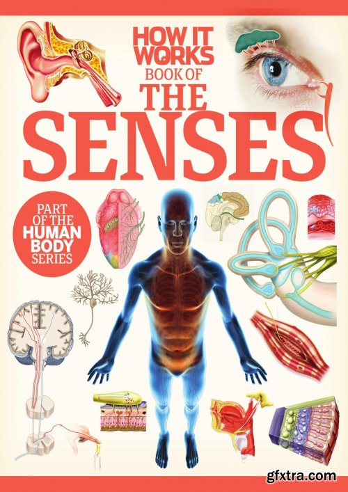 How It Works: Book of the Senses - First Edition,2020