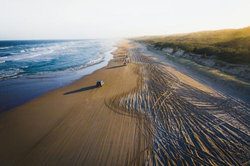 Cars driving on a beach - 843897