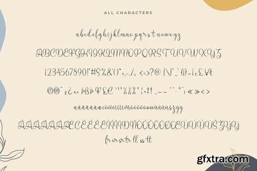 Henita VN - Modern Script Font