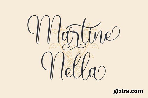 Henita VN - Modern Script Font