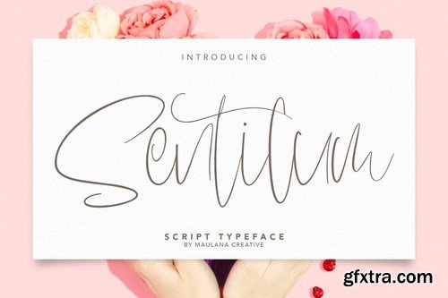 Sentilum Script Calligraphy Handmade Font Typeface