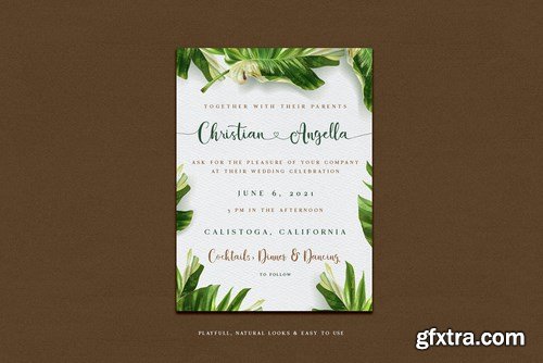 Alocasia-Trio Font Combination