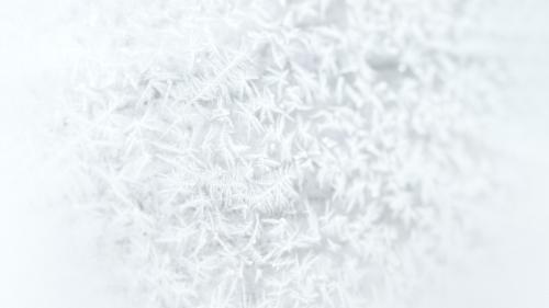 Frosty white tree branches background - 1229611