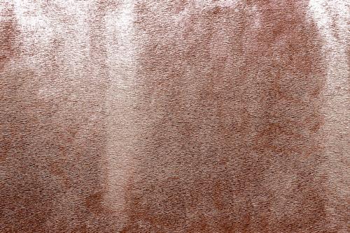 Roughly pink gold painted concrete wall surface background - 596850