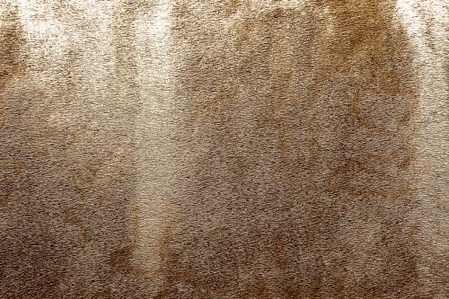 Roughly gold painted concrete wall surface background - 596892