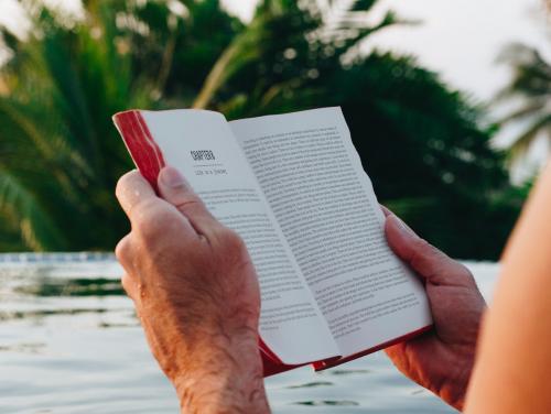 Man reading a book in the swimming pool - 418530