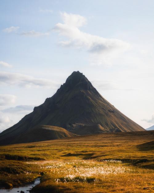 Golden field with a sharp mountain - 1227135