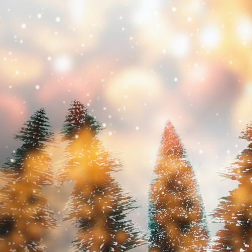 Christmas trees with design space background - 1229653