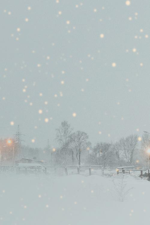 Snowy park in the evening - 1229665